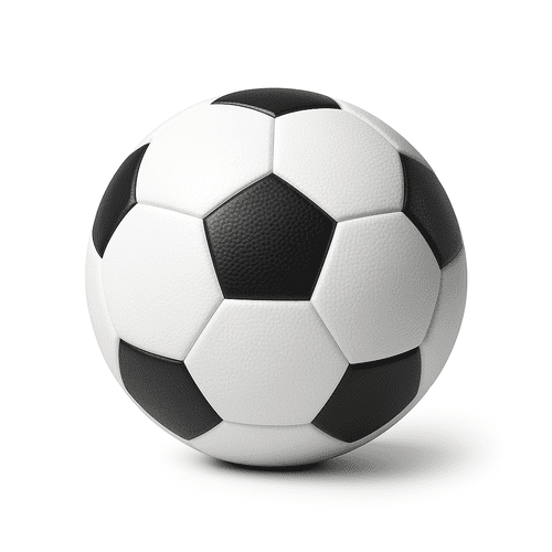 football-category-fiitsport