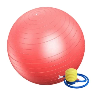 توپ جیم بال سایز ۸۵ با تلمبه - Anti-Burst