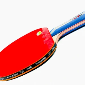 راکت پینگ پنگ فرندشیپ 729 مدل 3 ستاره